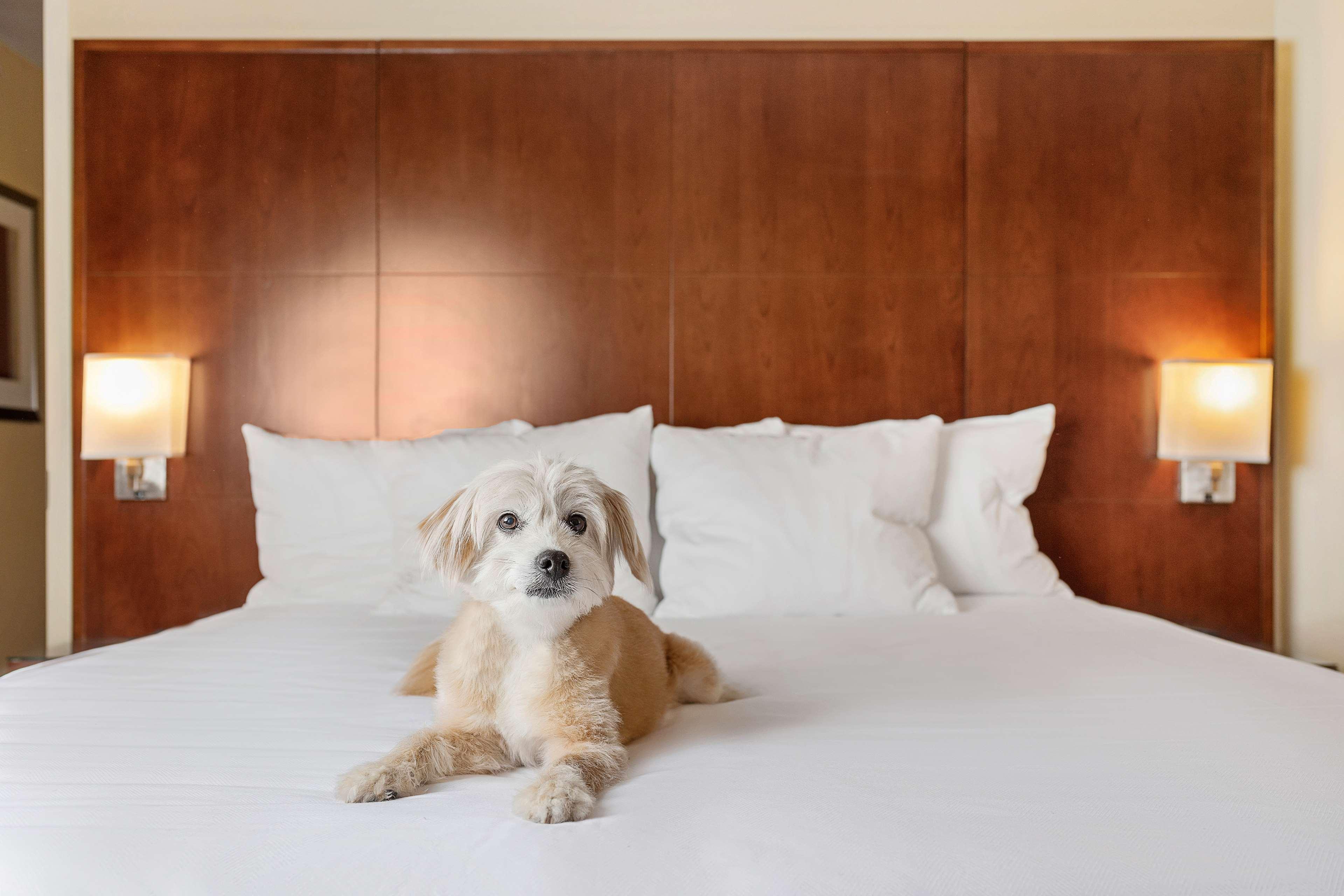 Отель Hyatt Regency Houston Downtown Экстерьер фото