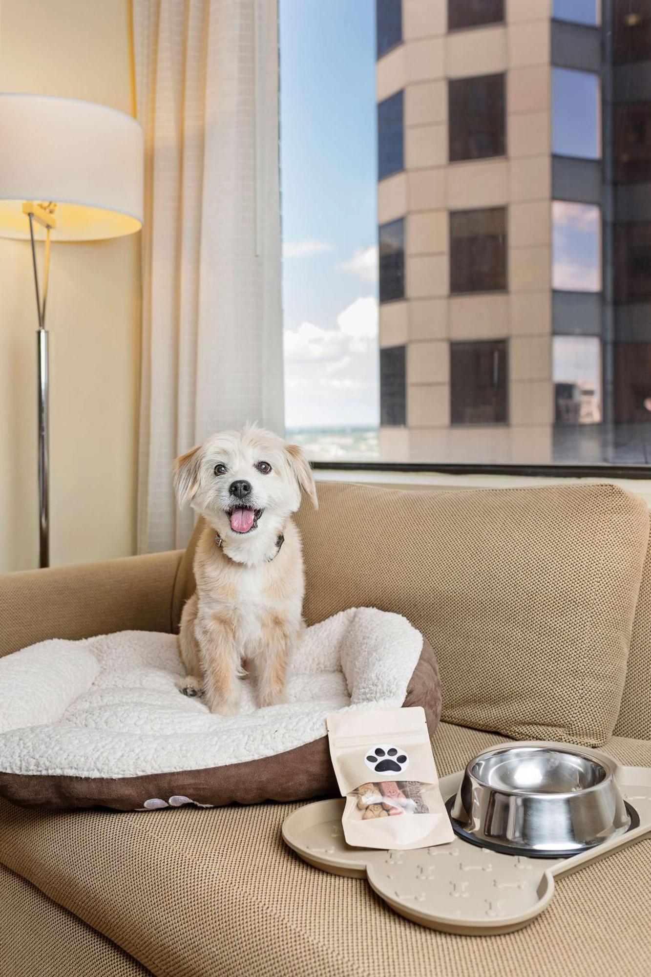 Отель Hyatt Regency Houston Downtown Экстерьер фото